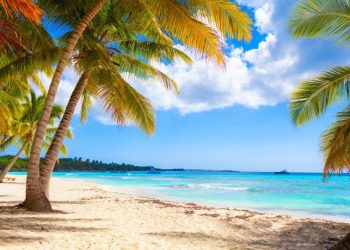 Indomet pronostica ambiente soleado y escasas lluvias para este jueves