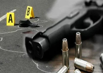 Faride Raful informa que en 2025 se han registrado 1,205 homicidios en la RD