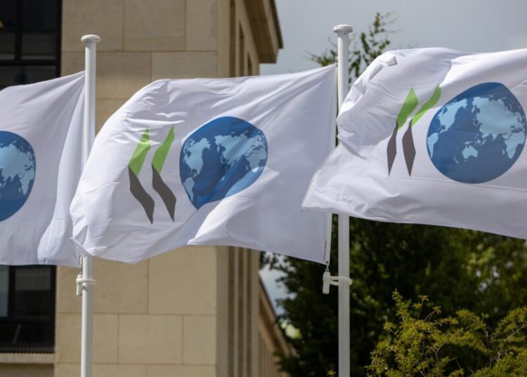 El origen social y el género siguen afectando a la formación en los países desarrollados