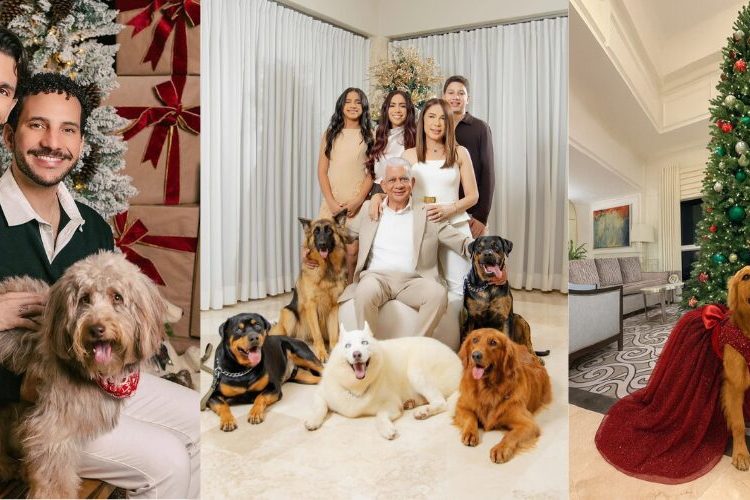 ¡Alerta ternura! Mascotas se adueñaron de postales navideñas