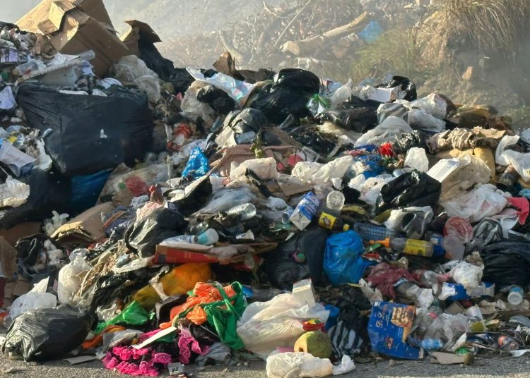 Vertedero de Padre Las Casas provoca contaminación y alarma en residentes y visitantes