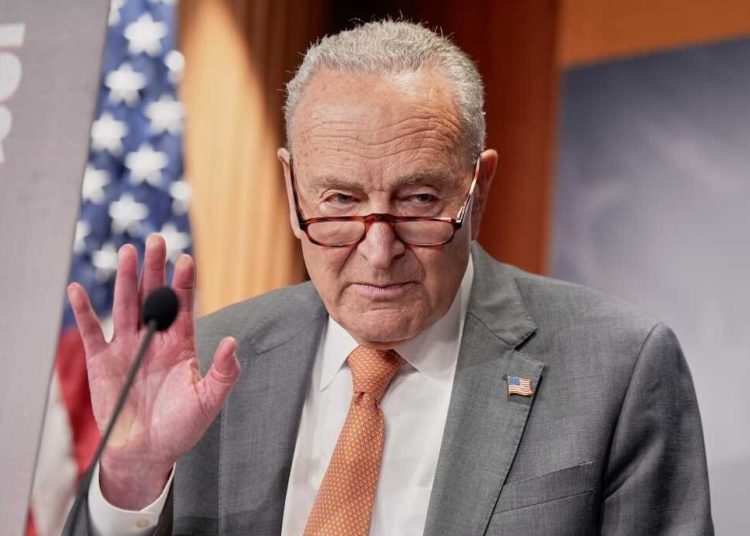 Demócratas quieren demandar al Gobierno por no divulgar todos los archivos de Epstein