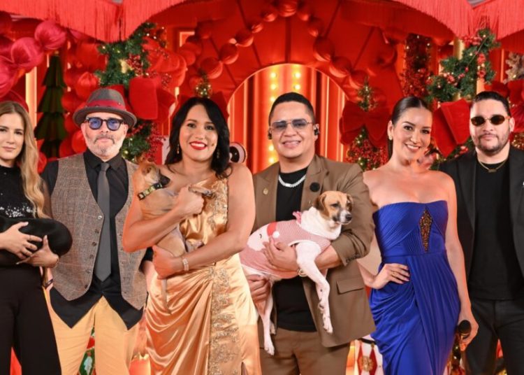 Telemedios Canal 8 y Fundación LASO presentan “Un Hogar para Navidad”