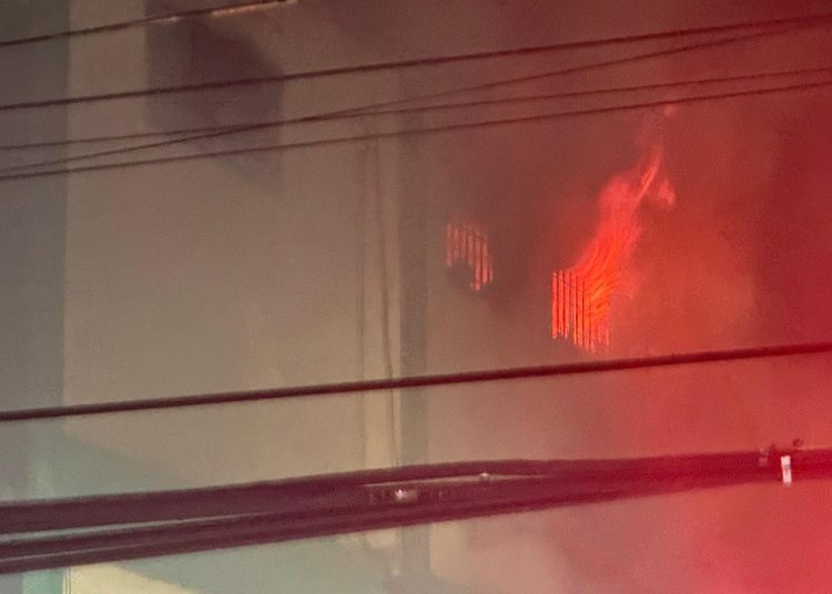 Miembros del Cuerpo de Bomberos dan asistencia a gatitos tras incendio en Ferretería San Miguel