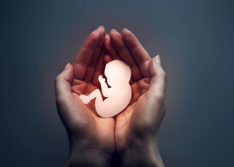 Unas 800 clínicas privadas rusas ya no ofrecen practicar abortos