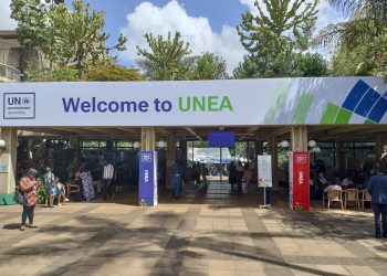 Países de la ONU defienden respuestas urgentes y colectivas a crisis ambientales pese a EEUU