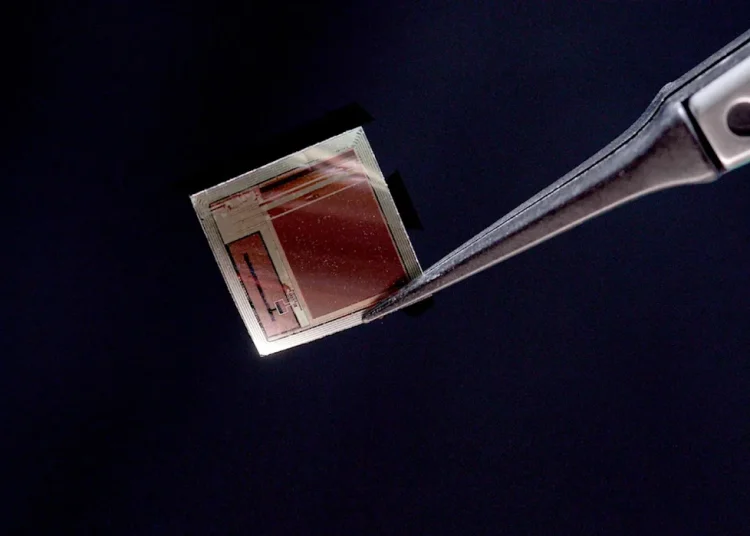 Crean una interfaz cerebro-ordenador del grosor de un cabello pero de alto rendimiento