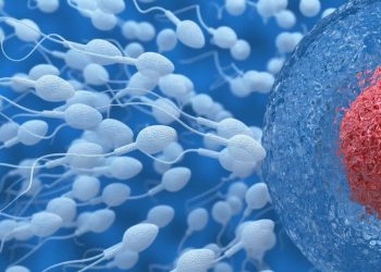 Casi 200 hijos en 14 países de un mismo donante de esperma portador de un gen cancerígeno