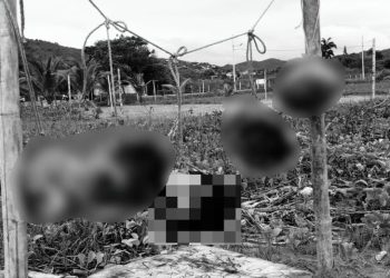 Hallan cinco cabezas humanas colgadas en una playa de Ecuador