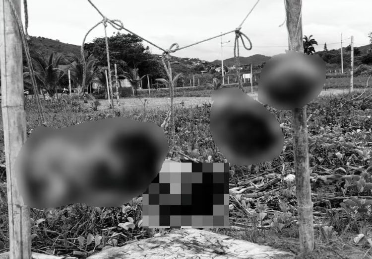 Hallan cinco cabezas humanas colgadas en una playa de Ecuador