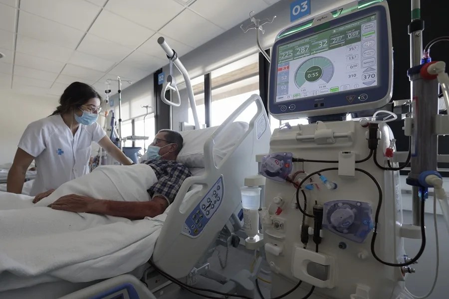 trasplantes riñón cerdos