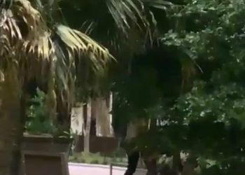 Pareja es captada sosteniendo relaciones sexuales en el parque Duarte de Azua