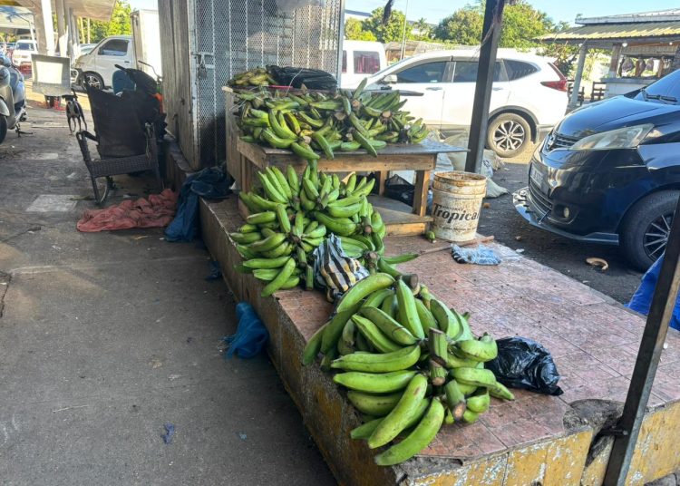 Comerciantes prevén baja en precios del plátano desde la próxima semana, pero denuncian escasez de pollo