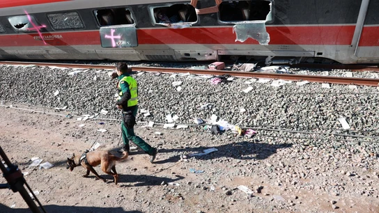 Se elevan a 43 los muertos en el accidente ferroviario del sur de España