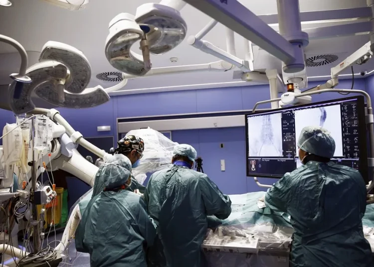 Nueva etapa de la investigación de los trasplantes de órganos de cerdos transgénicos