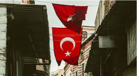 Turquía incauta bienes por 6 millones de euros en operación contra web pornográfica