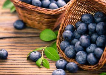 Estudios revelan una porción diaria de arándanos puede cambiar tu salud cardiovascular y cerebral