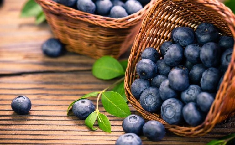 Estudios revelan una porción diaria de arándanos puede cambiar tu salud cardiovascular y cerebral