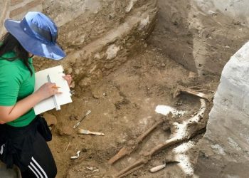 Hallan 13 osamentas en excavaciones del proyecto “Tras los restos del cacique Enriquillo” en Azua