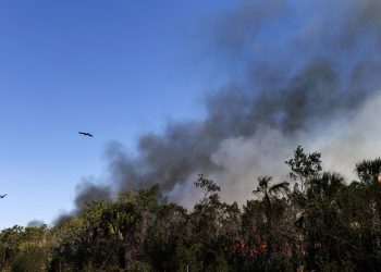 Incendio en Florida crece y amenaza un centenar de viviendas tras cinco días sin control