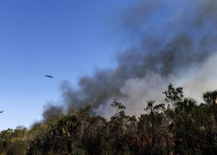 Incendio en Florida crece y amenaza un centenar de viviendas tras cinco días sin control