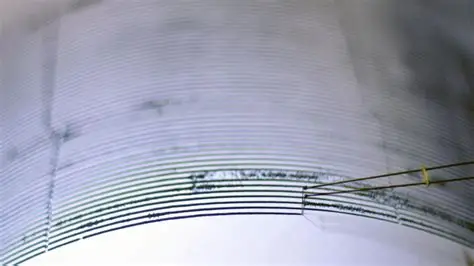 Cuatro terremotos de una magnitud de hasta 4,6 sacuden el noroeste de China