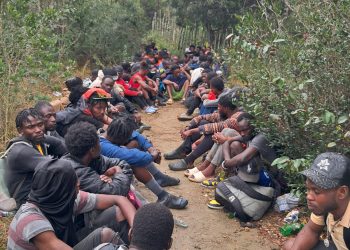 Miembros del Ejército detienen a 66 indocumentados en Loma de Cabrera