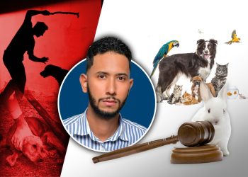 Periodista denuncia debilidades en la aplicación de la Ley de Protección Animal en RD