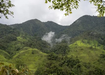 Ecuador destruye 129 campamentos de minería ilegal en un parque nacional cerca de Perú