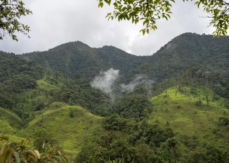 Ecuador destruye 129 campamentos de minería ilegal en un parque nacional cerca de Perú