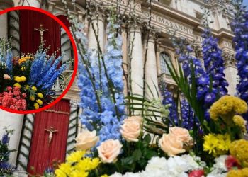 Miles de flores de Italia y Países Bajos adornarán el Vaticano en Semana Santa