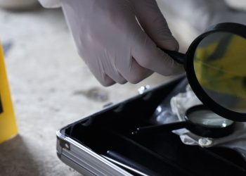 El 59 % de los homicidios en RD se originan por conflictos sociales, revela Yeni Berenice