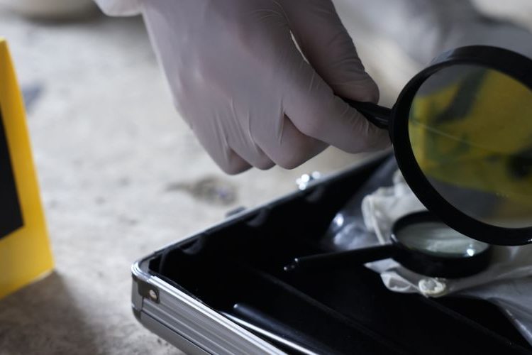 El 59 % de los homicidios en RD se originan por conflictos sociales, revela Yeni Berenice