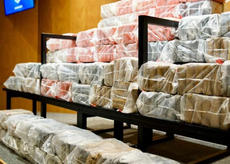 DNCD ha decomisado más de 100 toneladas de diferentes drogas