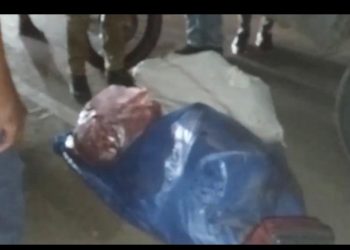 Capturan a presunto cuatrero con varios chivos descuartizados durante operativo en Mao; otro logró escapar