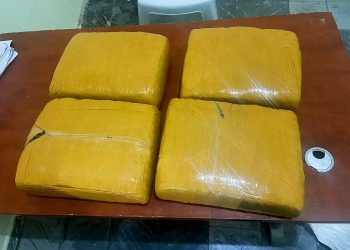 Ejército ocupa cuatro pacas de presunta marihuana abandonadas en zona fronteriza de Elías Piña