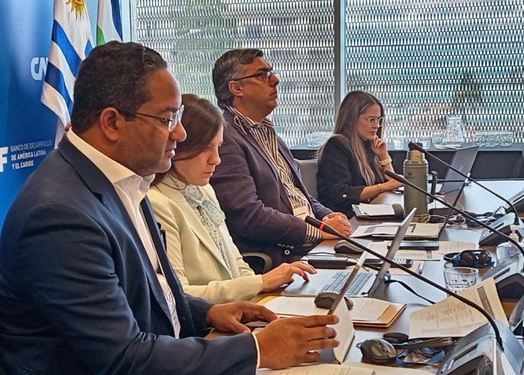 República Dominicana asumirá una vicepresidencia del Comité de Discapacidad de la OEA