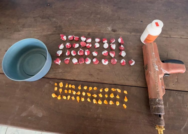 Policía desmantela presunto punto de drogas en Villa Hermosa y ocupa sustancias controladas