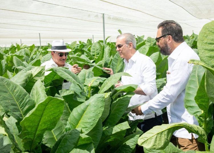 Presidente visita finca tabacalera de Arturo Fuente para replicar su modelo de producción
