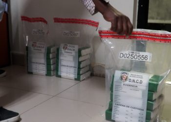 DNCD incauta más de 17,000 gramos de presunta cocaína en Los Alcarrizos