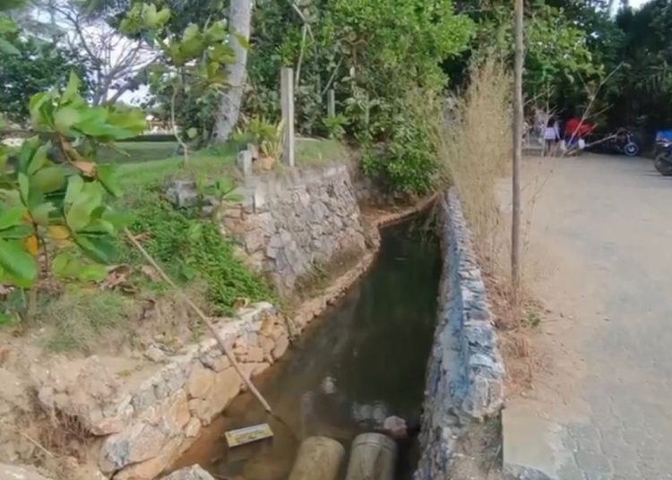 Alerta ambiental en Playa Bonita, Las Terrenas; genera preocupación en Samaná
