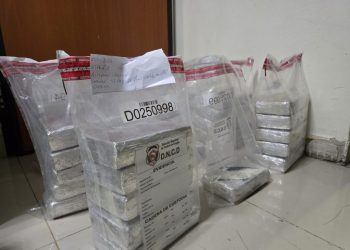 Autoridades incautan 41 paquetes de cocaína en inspección en el puerto Multimodal Caucedo