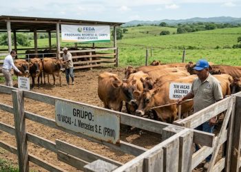 Beneficiarios del programa “Regreso al Campo” del FEDA también aparecen vinculados a la institución