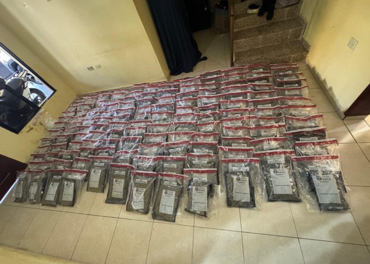 Autoridades interceptan en Azua a conductor de camión con 151 paquetes de presunta marihuana sintética