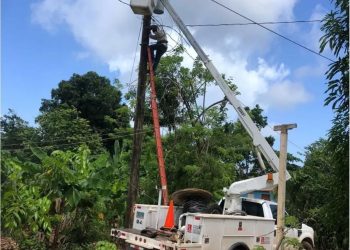 Luz y Fuerza de Las Terrenas deslinda responsabilidad por interrupciones eléctricas en la zona de El Limón