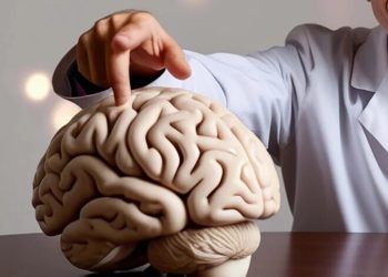 Estudio revela que el lugar donde vives podría acelerar el envejecimiento de tu cerebro