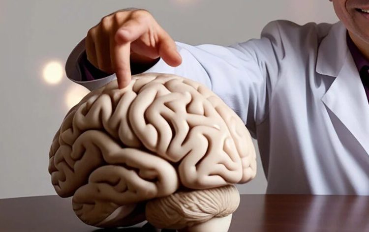 Estudio revela que el lugar donde vives podría acelerar el envejecimiento de tu cerebro