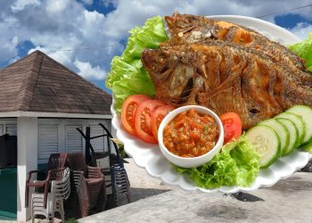 Pescado en Boca Chica costará entre RD$500 y RD$700 durante Semana Santa, informa sindicato