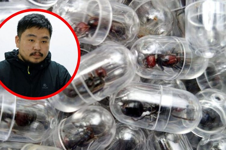 Kenia condena a ciudadano chino a un año de prisión por contrabando de unas 2.200 hormigas