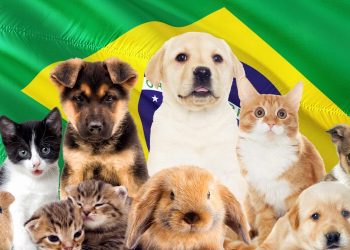 La custodia compartida de mascotas ya es ley Brasil